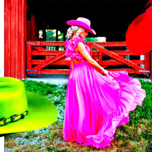 Punchy Western Cowboy Hat