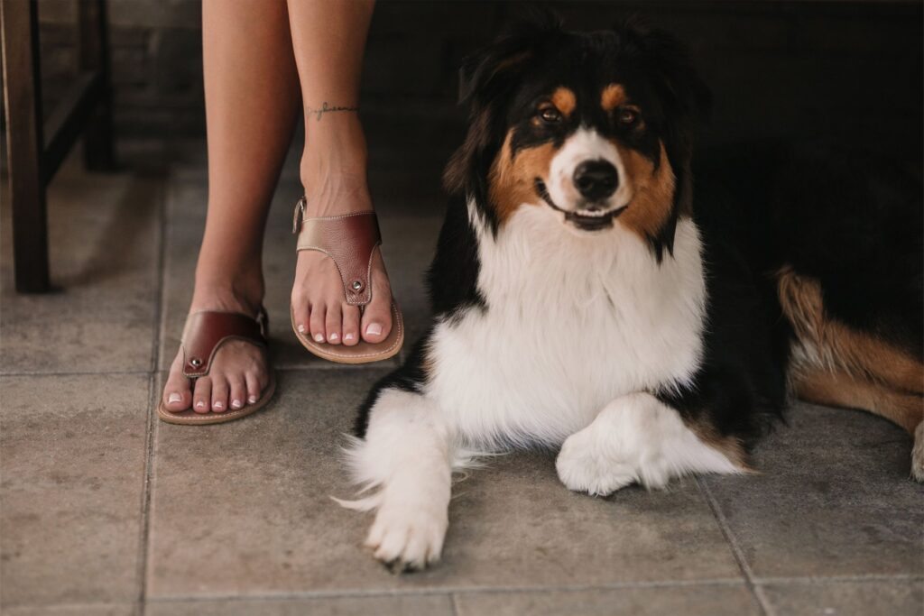 Be Lenka Promenade barefoot sandals.