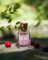 Perfume for Women