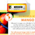 Nourishing Shampoo Bar with Mango